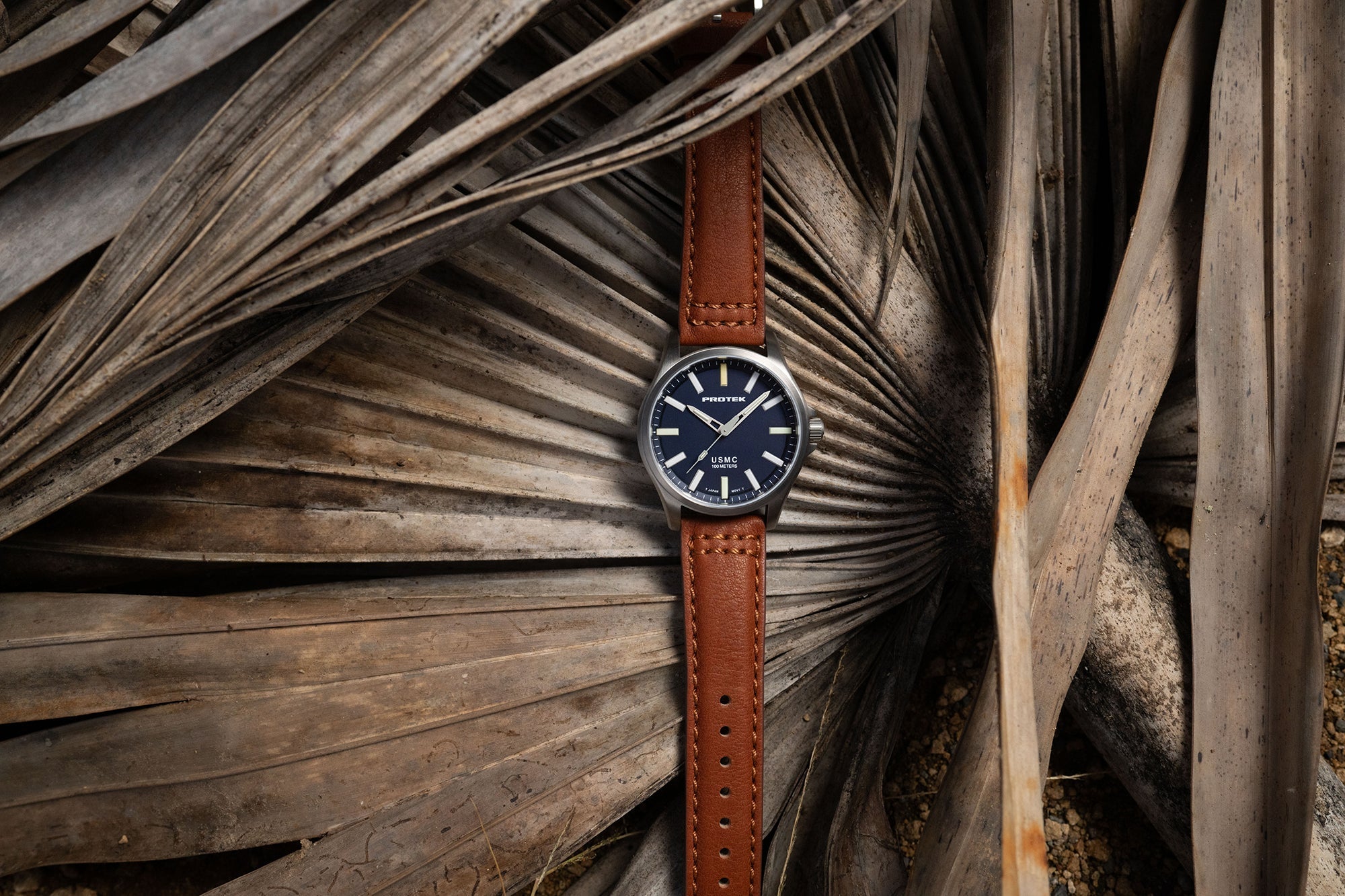 ProTek USMC Titanium Field Watch (40mm) PT3103