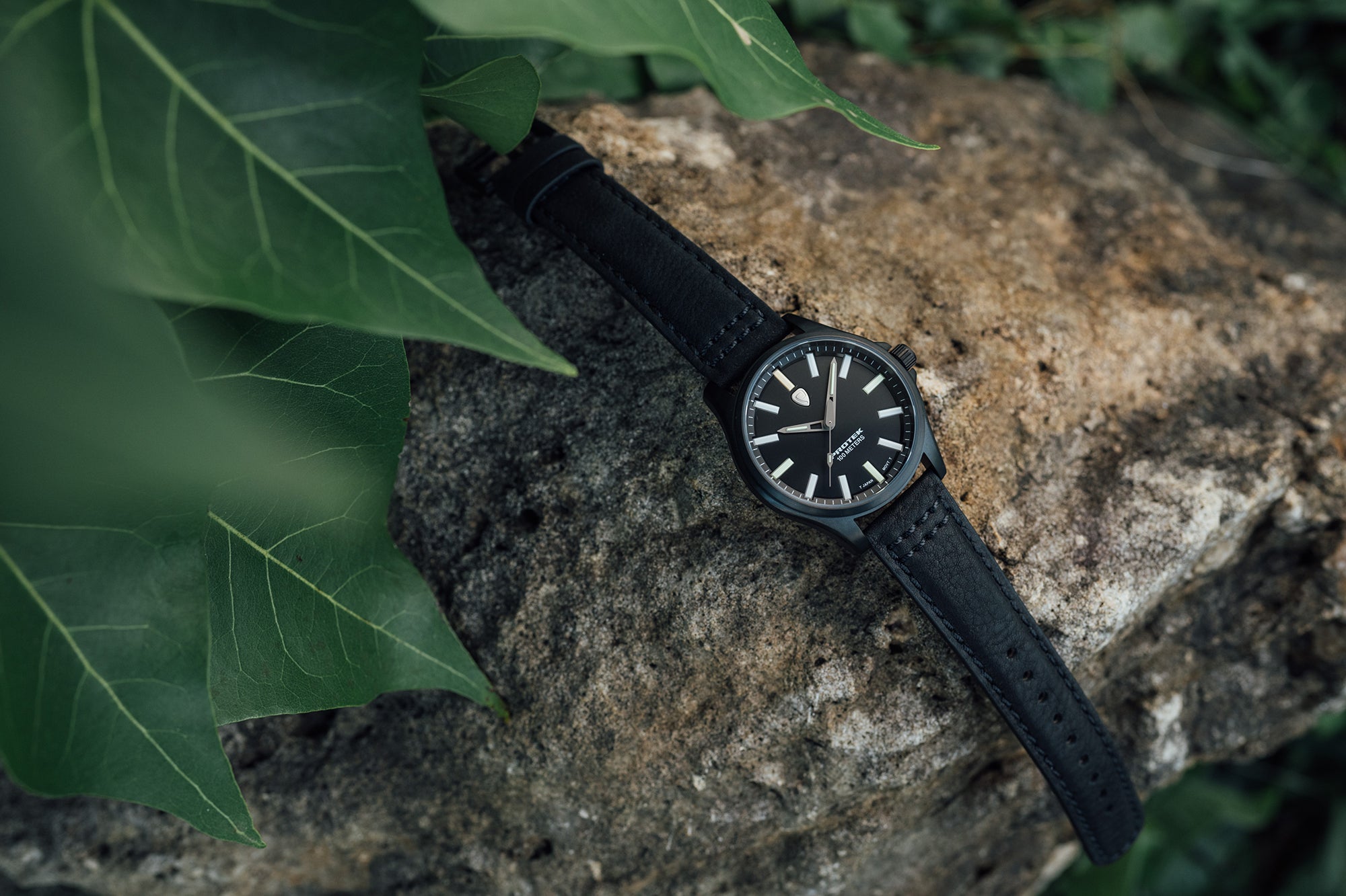 ProTek Titanium Field Watch (40mm) PT3002