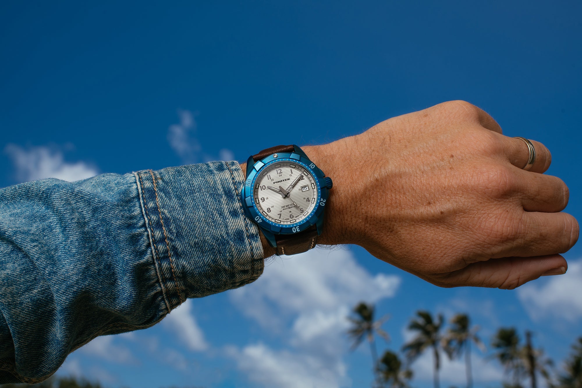 ProTek Automatic Blue Steel Dive Watch (42mm) PT2213