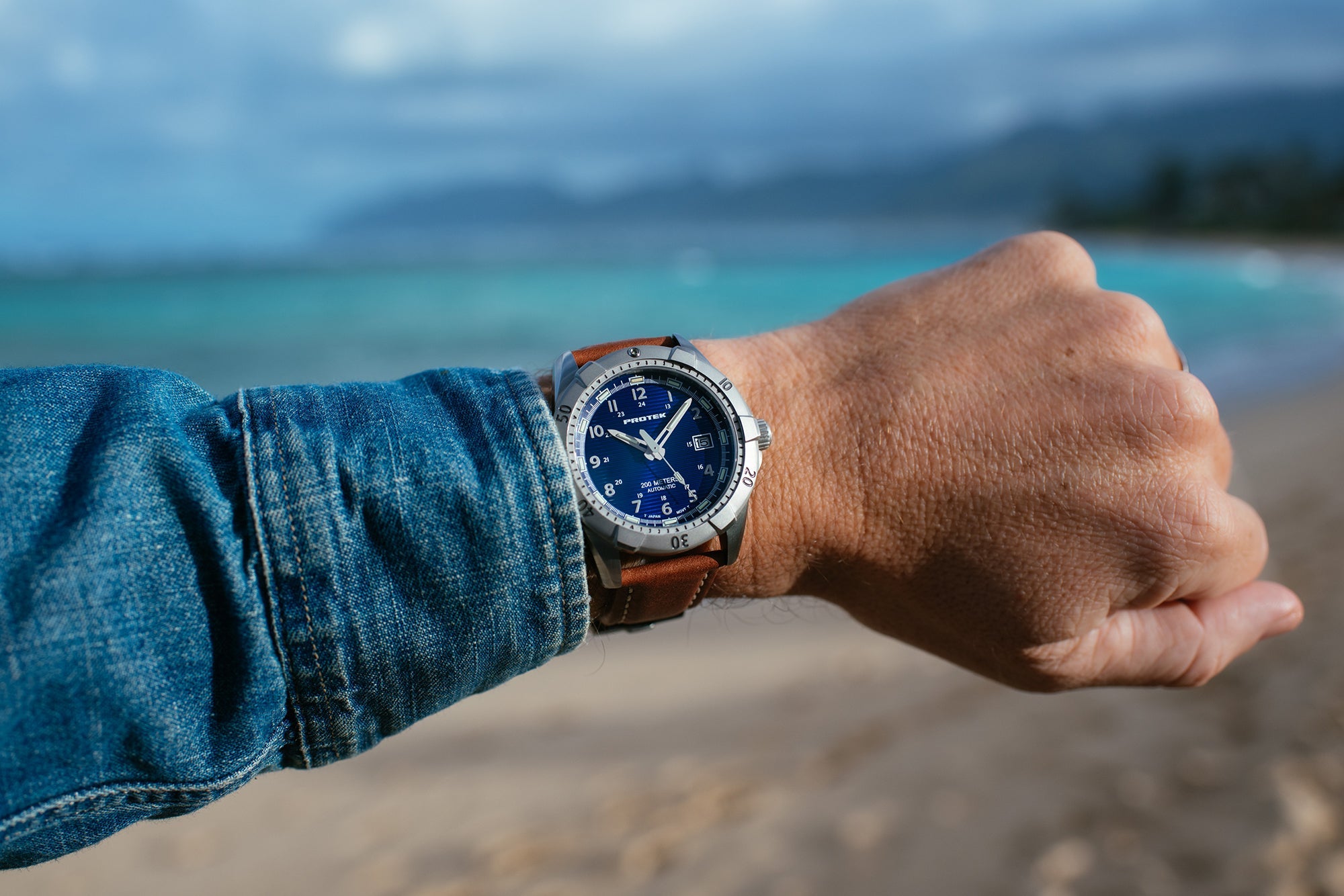 ProTek Automatic Steel Dive Watch (42mm) PT2203