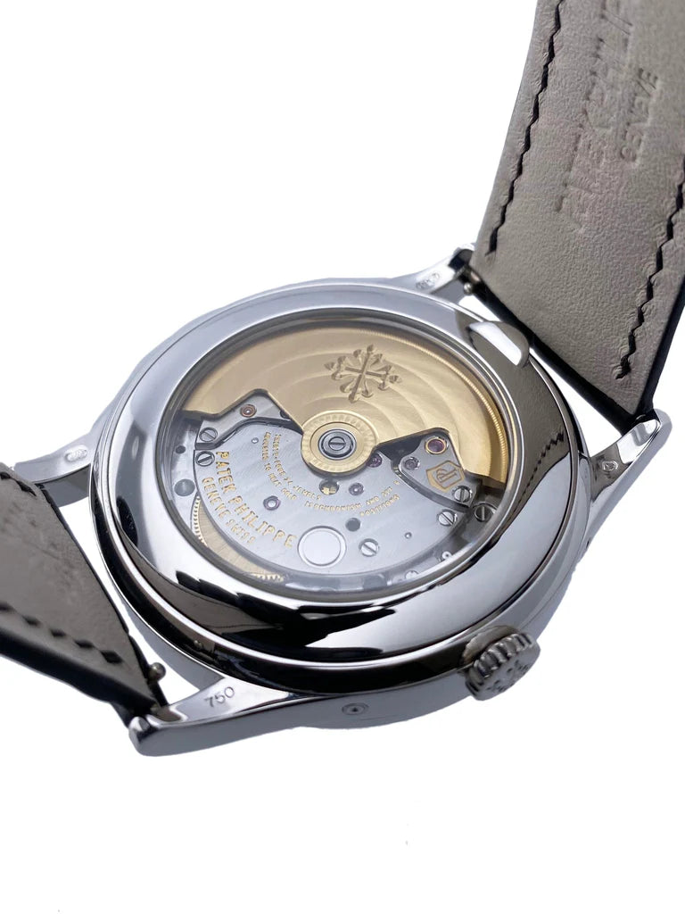 Patek Philippe Complications (39mm) 5396G-011