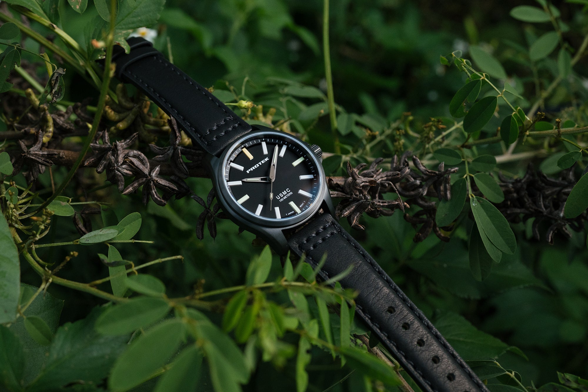 ProTek USMC Titanium Field Watch (40mm) PT3102