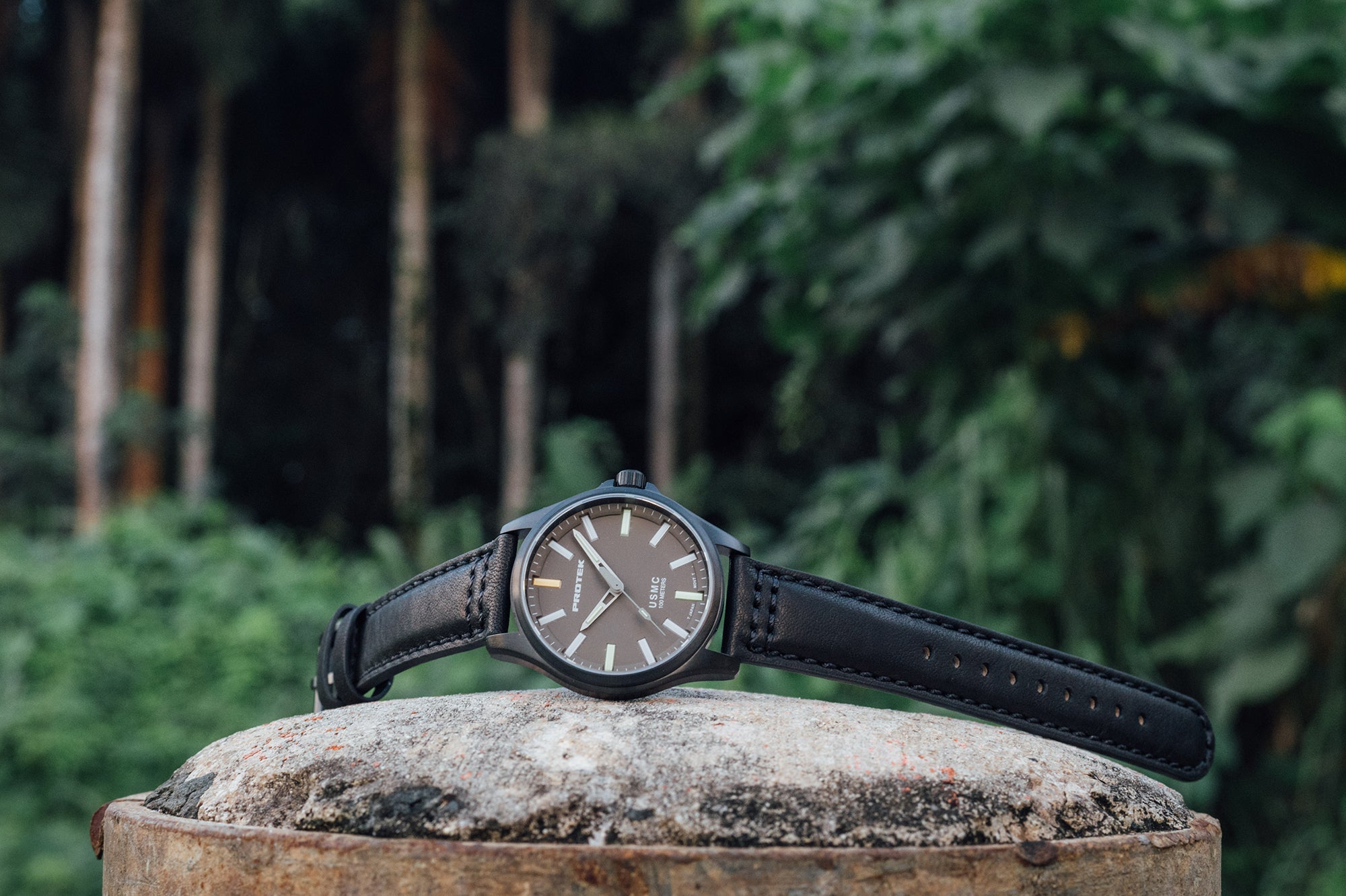 ProTek USMC Titanium Field Watch (40mm) PT3106